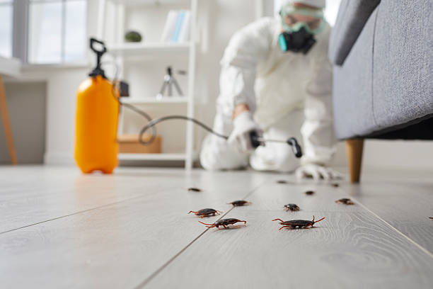 Trusted Fumigation Services service in Worland, WY - Nex Pest Control